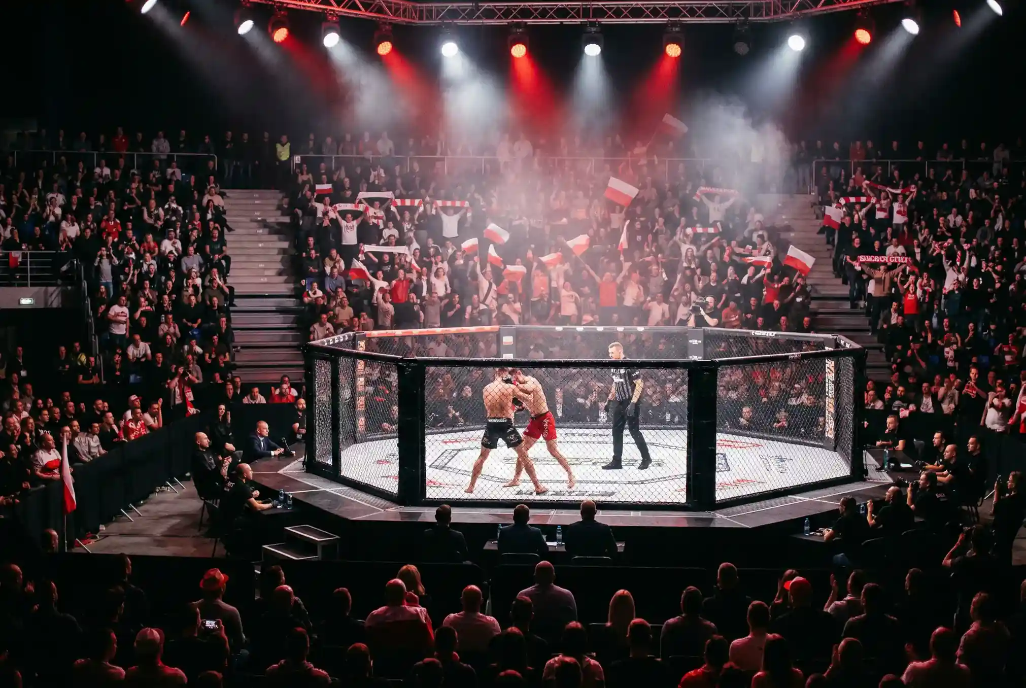 Zakłady na KSW — polska federacja MMA